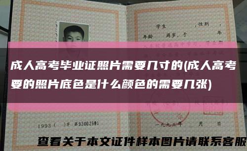 成人高考毕业证照片需要几寸的(成人高考要的照片底色是什么颜色的需要几张)缩略图