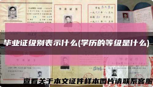 毕业证级别表示什么(学历的等级是什么)缩略图