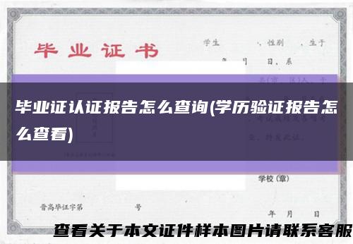 毕业证认证报告怎么查询(学历验证报告怎么查看)缩略图