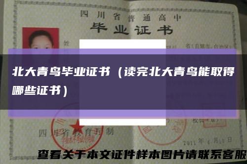 北大青鸟毕业证书（读完北大青鸟能取得哪些证书）缩略图