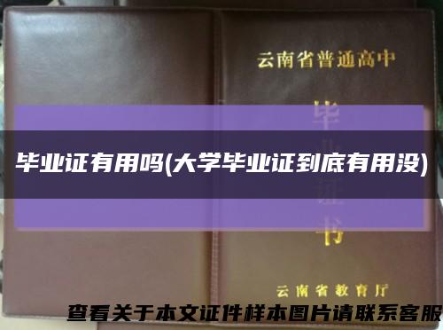 毕业证有用吗(大学毕业证到底有用没)缩略图