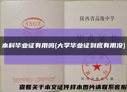 本科毕业证有用吗(大学毕业证到底有用没)缩略图