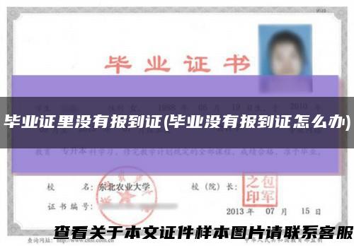 毕业证里没有报到证(毕业没有报到证怎么办)缩略图
