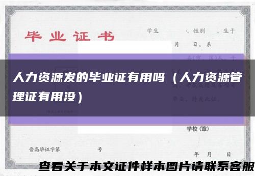 人力资源发的毕业证有用吗（人力资源管理证有用没）缩略图