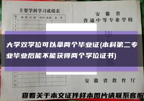 大学双学位可以拿两个毕业证(本科第二专业毕业后能不能获得两个学位证书)缩略图