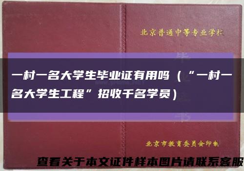 一村一名大学生毕业证有用吗（“一村一名大学生工程”招收千名学员）缩略图