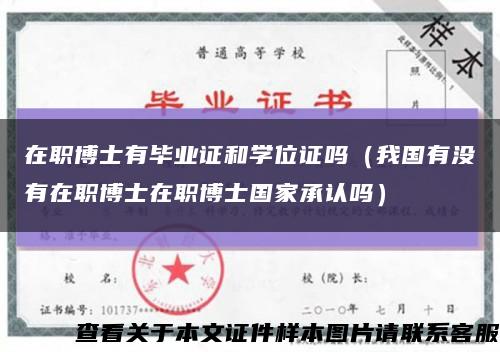 在职博士有毕业证和学位证吗（我国有没有在职博士在职博士国家承认吗）缩略图