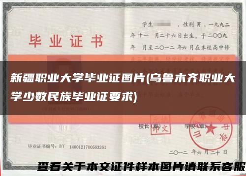 新疆职业大学毕业证图片(乌鲁木齐职业大学少数民族毕业证要求)缩略图