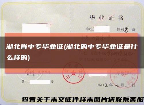 湖北省中专毕业证(湖北的中专毕业证是什么样的)缩略图