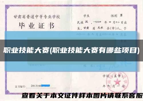 职业技能大赛(职业技能大赛有哪些项目)缩略图