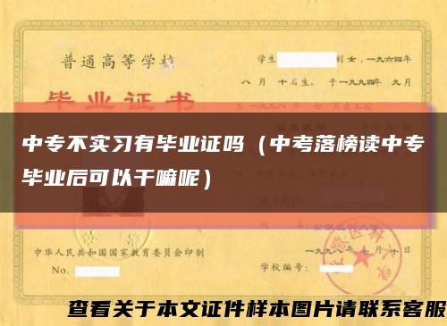 中专不实习有毕业证吗（中考落榜读中专毕业后可以干嘛呢）缩略图