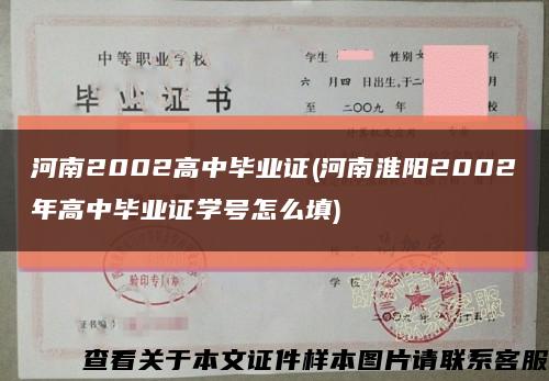 河南2002高中毕业证(河南淮阳2002年高中毕业证学号怎么填)缩略图