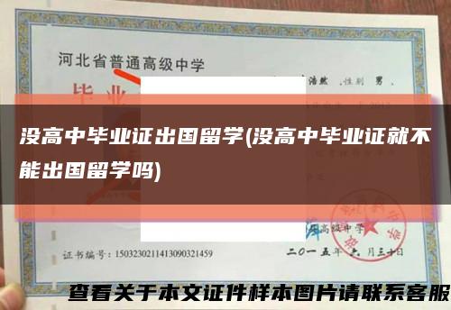 没高中毕业证出国留学(没高中毕业证就不能出国留学吗)缩略图