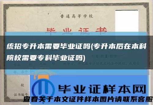 统招专升本需要毕业证吗(专升本后在本科院校需要专科毕业证吗)缩略图