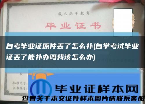 自考毕业证原件丢了怎么补(自学考试毕业证丢了能补办吗我该怎么办)缩略图