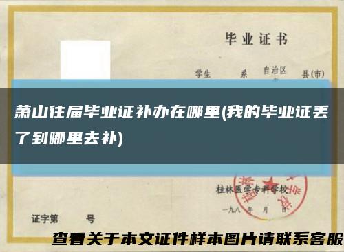 萧山往届毕业证补办在哪里(我的毕业证丢了到哪里去补)缩略图