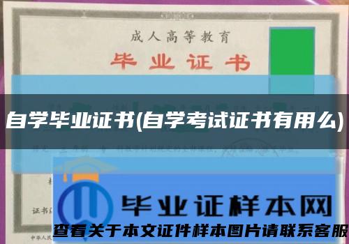 自学毕业证书(自学考试证书有用么)缩略图
