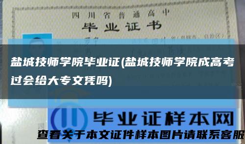 盐城技师学院毕业证(盐城技师学院成高考过会给大专文凭吗)缩略图