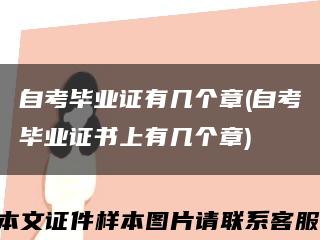自考毕业证有几个章(自考毕业证书上有几个章)缩略图