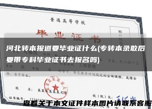 河北转本报道要毕业证什么(专转本录敢后要带专科毕业证书去报名吗)缩略图