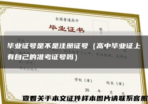 毕业证号是不是注册证号（高中毕业证上有自己的准考证号吗）缩略图