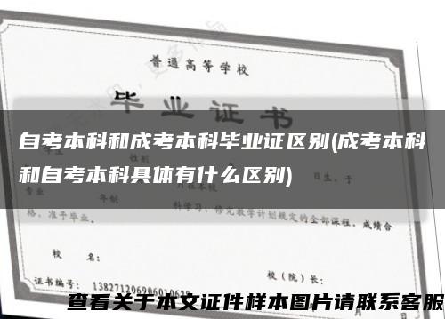 自考本科和成考本科毕业证区别(成考本科和自考本科具体有什么区别)缩略图