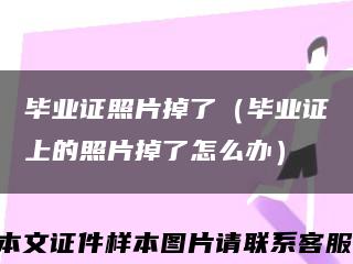 毕业证照片掉了（毕业证上的照片掉了怎么办）缩略图