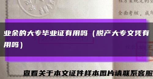 业余的大专毕业证有用吗（脱产大专文凭有用吗）缩略图