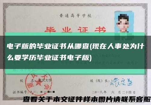 电子版的毕业证书从哪查(现在人事处为什么要学历毕业证书电子版)缩略图