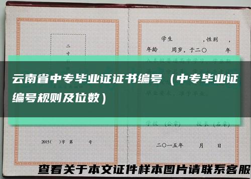 云南省中专毕业证证书编号（中专毕业证编号规则及位数）缩略图