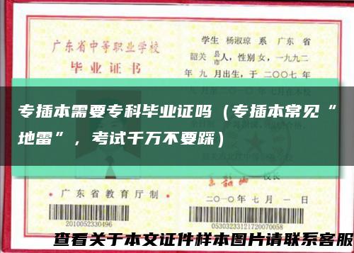 专插本需要专科毕业证吗（专插本常见“地雷”，考试千万不要踩）缩略图