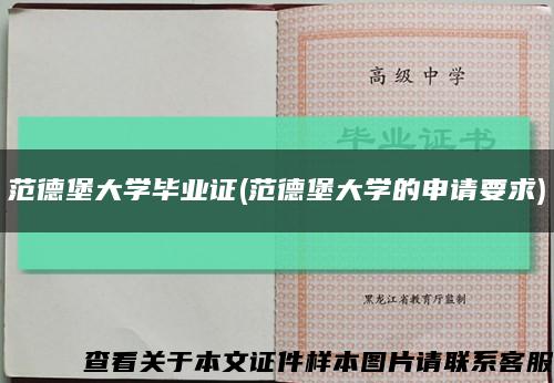 范德堡大学毕业证(范德堡大学的申请要求)缩略图