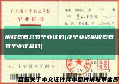 留校察看只有毕业证吗(快毕业被留校察看有毕业证拿吗)缩略图