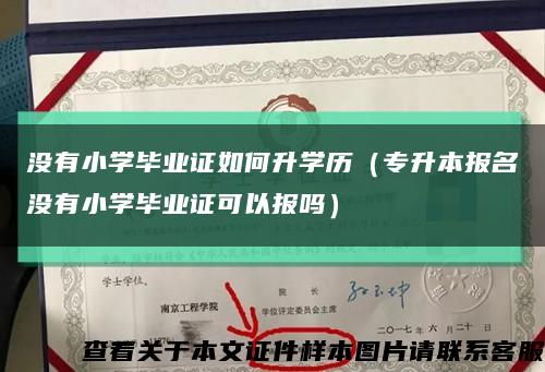 没有小学毕业证如何升学历（专升本报名没有小学毕业证可以报吗）缩略图