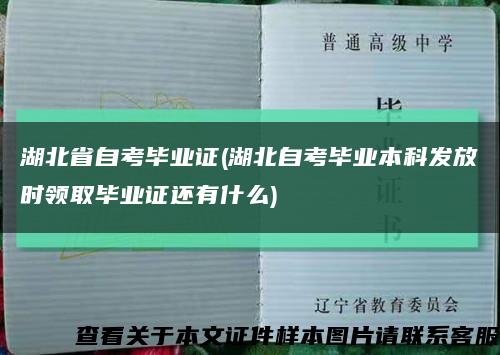 湖北省自考毕业证(湖北自考毕业本科发放时领取毕业证还有什么)缩略图