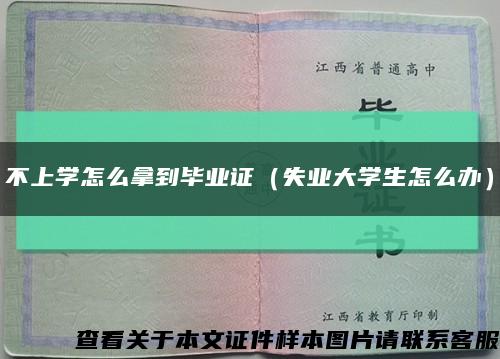 不上学怎么拿到毕业证（失业大学生怎么办）缩略图