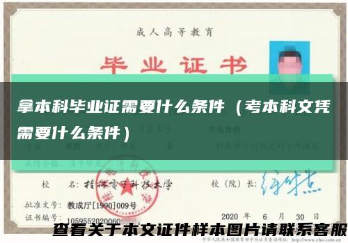 拿本科毕业证需要什么条件（考本科文凭需要什么条件）缩略图