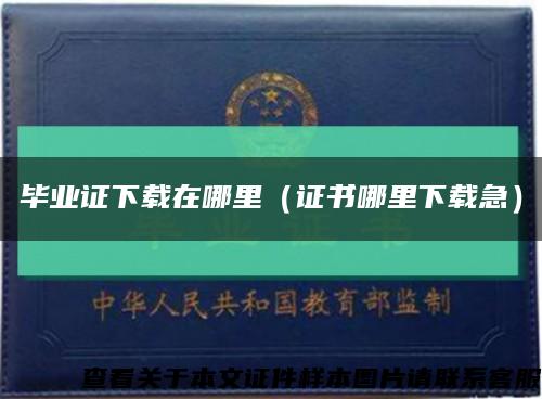 毕业证下载在哪里（证书哪里下载急）缩略图