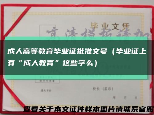 成人高等教育毕业证批准文号（毕业证上有“成人教育”这些字么）缩略图