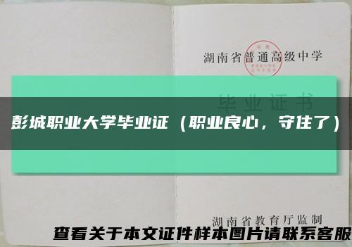 彭城职业大学毕业证（职业良心，守住了）缩略图