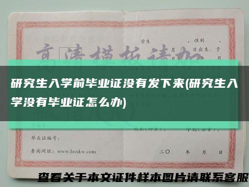 研究生入学前毕业证没有发下来(研究生入学没有毕业证怎么办)缩略图
