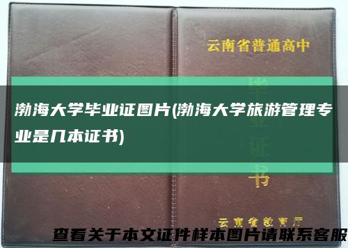 渤海大学毕业证图片(渤海大学旅游管理专业是几本证书)缩略图