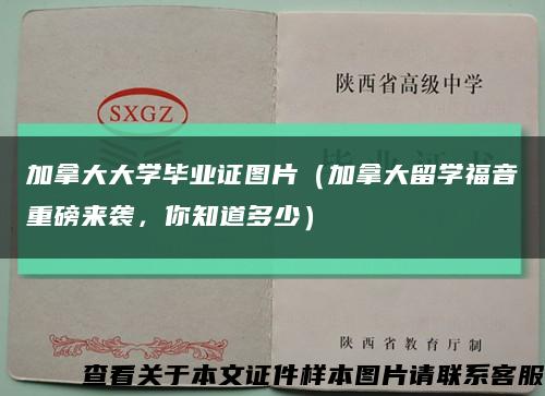 加拿大大学毕业证图片（加拿大留学福音重磅来袭，你知道多少）缩略图