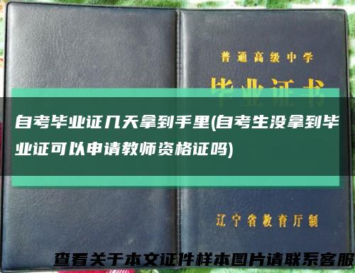 自考毕业证几天拿到手里(自考生没拿到毕业证可以申请教师资格证吗)缩略图
