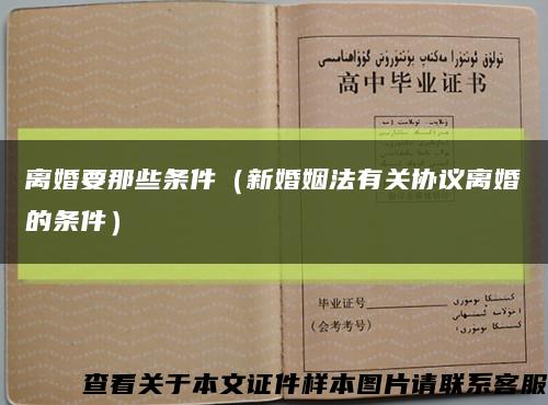 离婚要那些条件（新婚姻法有关协议离婚的条件）缩略图