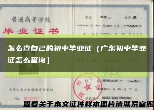 怎么查自己的初中毕业证（广东初中毕业证怎么查询）缩略图