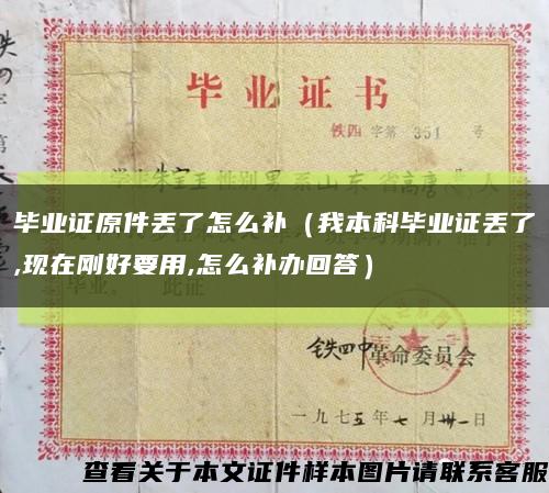 毕业证原件丢了怎么补（我本科毕业证丢了,现在刚好要用,怎么补办回答）缩略图