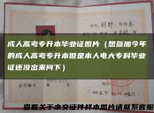 成人高考专升本毕业证图片（想参加今年的成人高考专升本但是本人电大专科毕业证还没出来问下）缩略图
