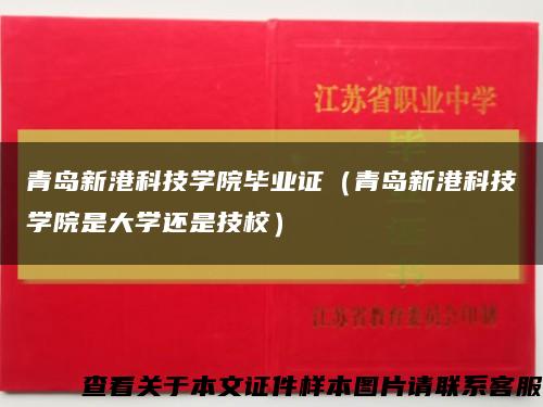 青岛新港科技学院毕业证（青岛新港科技学院是大学还是技校）缩略图