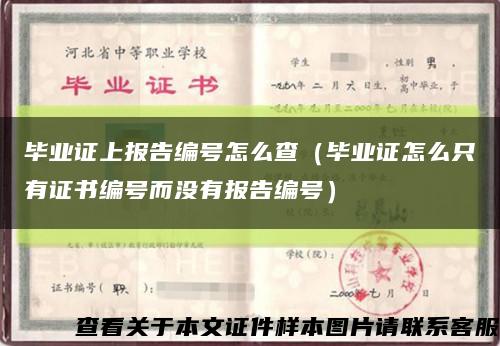毕业证上报告编号怎么查（毕业证怎么只有证书编号而没有报告编号）缩略图